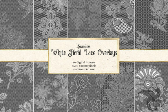 Download White Floral Lace Overlays - Floral Collection