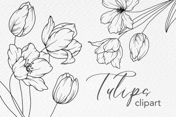 Download Tulips Line Drawing, Floral Line Art - Floral Collection